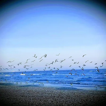 Holiday home Faleza Nord 1 *